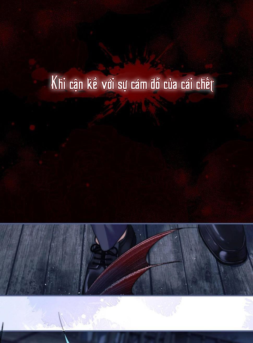 người cá desahrow chapter 1 25