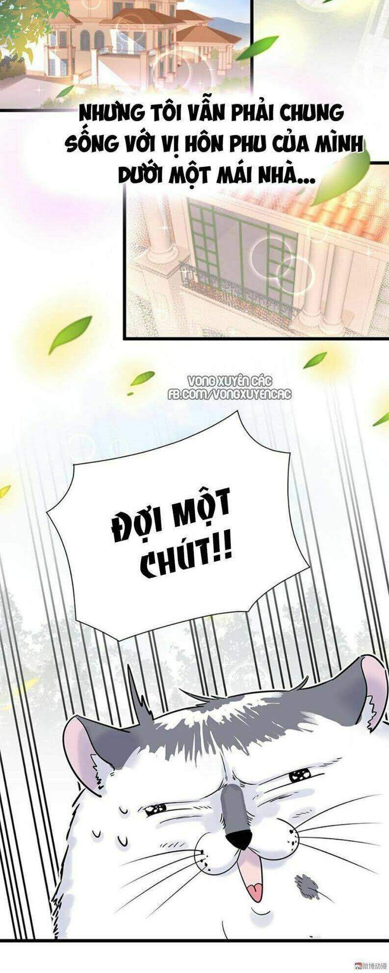 ứng cử viên hôn phu của ta chapter 0 7