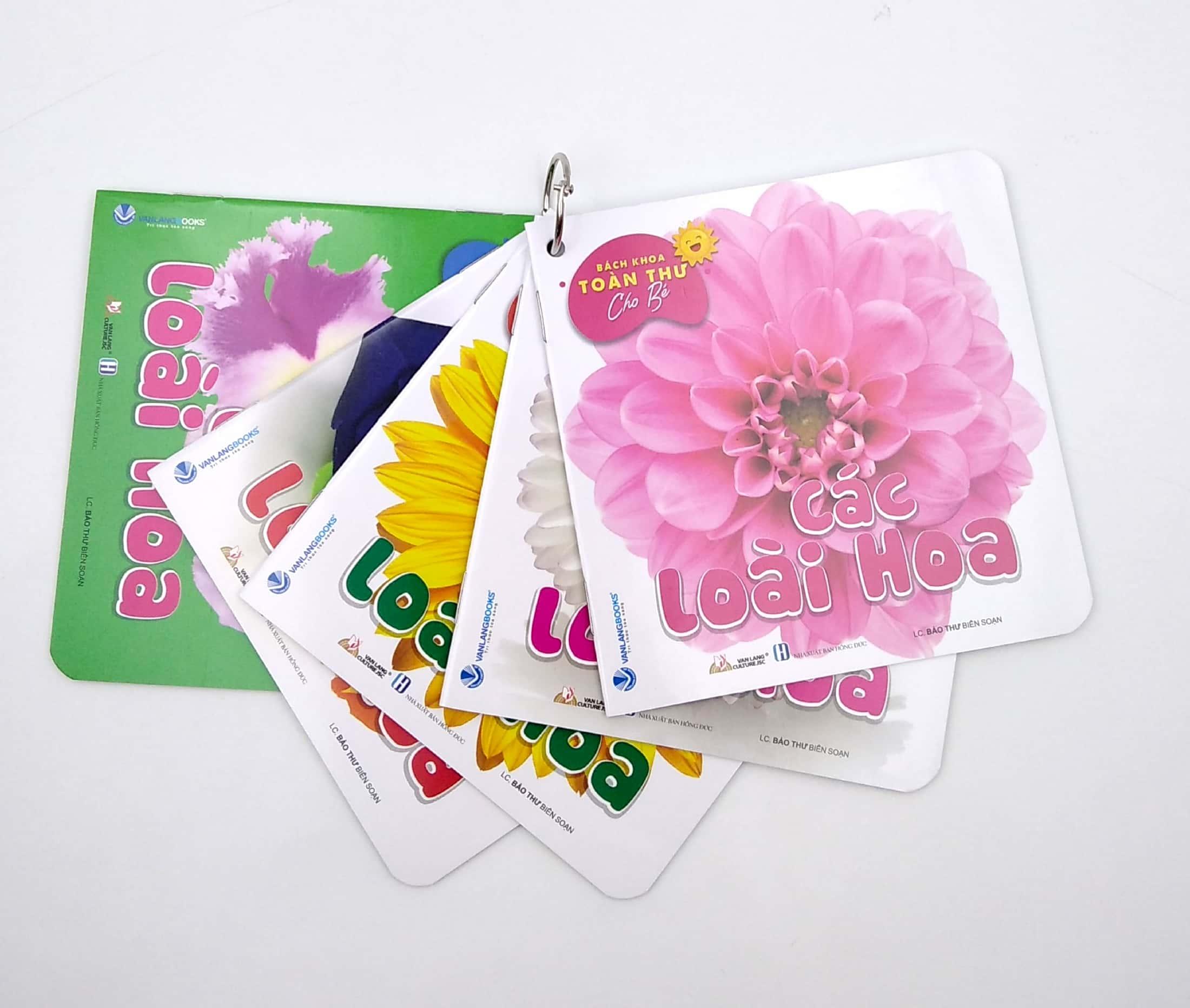 Bộ Bách Khoa Toàn Thư Cho Bé - Các Loài Hoa