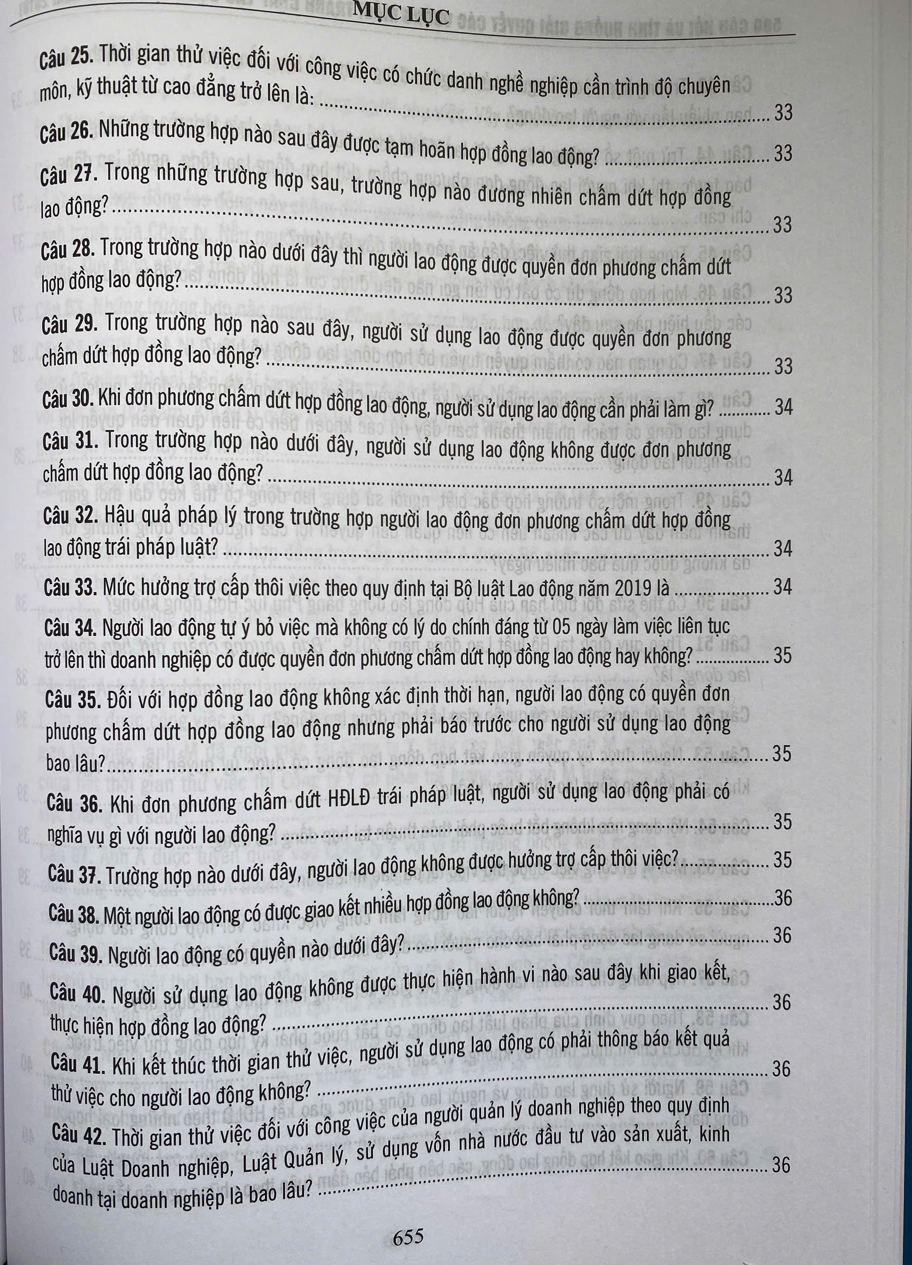 500 Câu hỏi Và Tình Huống Giải Các Vướng Mắc Tranh Chấp Lao Động Theo Bộ Luật lao Động Năm 2019