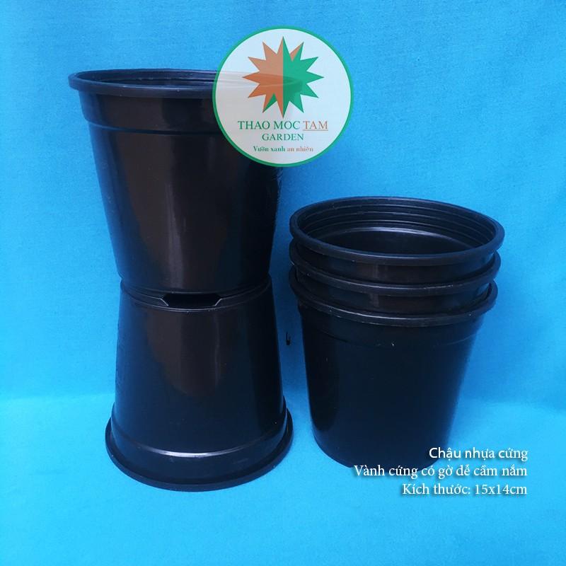 05c Chậu nhựa cứng 15x14cm – Chậu nhựa tròn, dày thích hợp trồng cây hoa, cây kiểng nhỏ, ươm trồng cây.