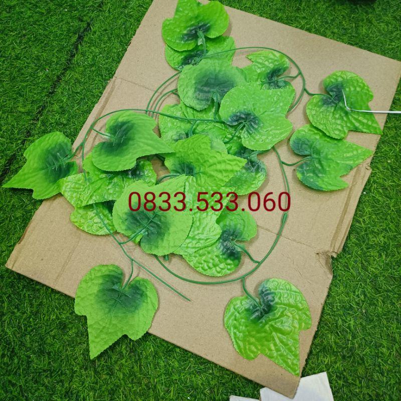 Dây Lá Thường Xuân Dây Lá Nho 2m - trang trí tường rào, giàn hoa, dây leo