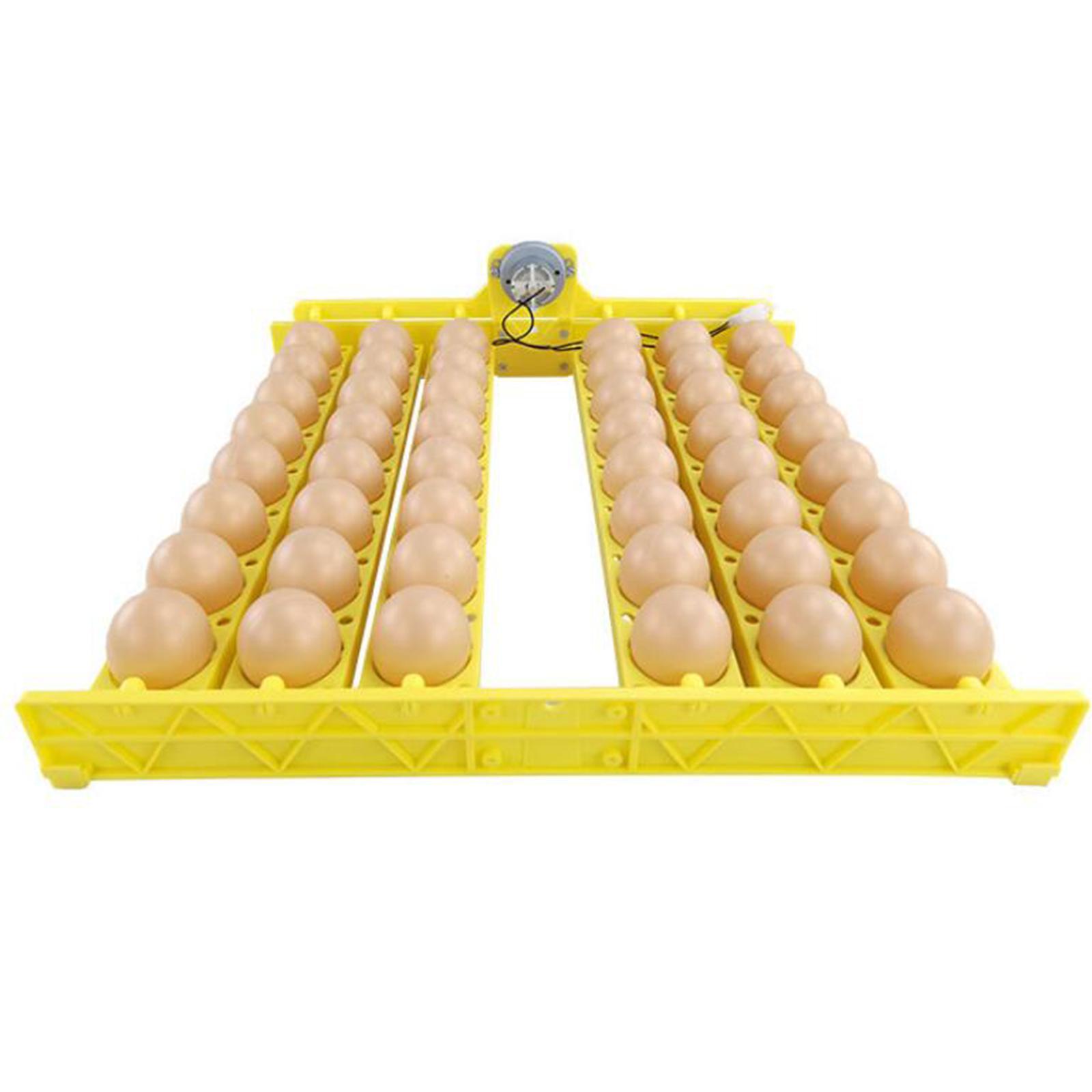 Automatic Egg Incubator Egg Hatcher 48 Eggs Egg Flipping Equipment for Home Farmhouse