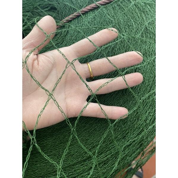 Lứoi Giàn dây leo : dưa chuột , mướp .. , lứoi rào gà ,mắt lứoi 4cmx4m( Khổ rộng 2m x chiều dài tuỳ chọn)