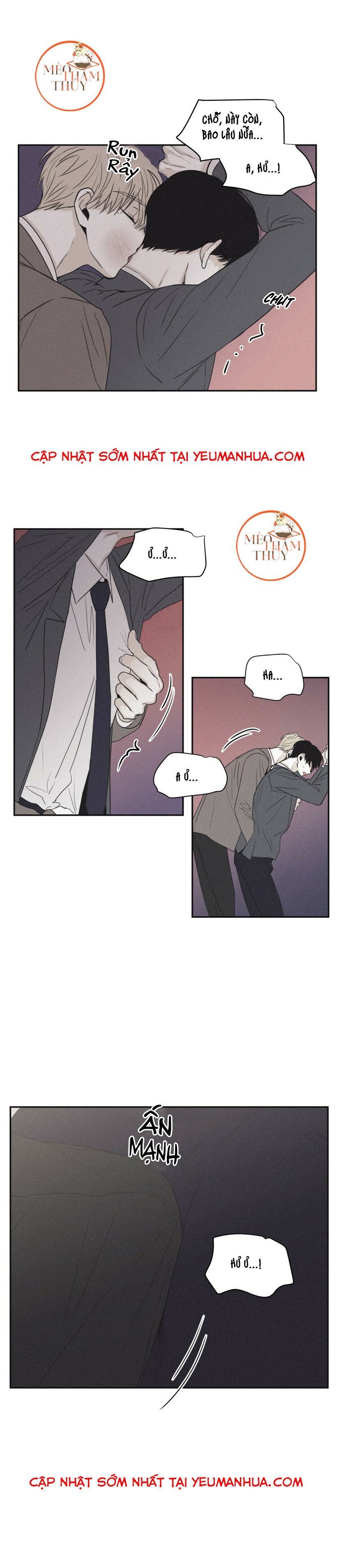 chiếu tướng chapter 41 17