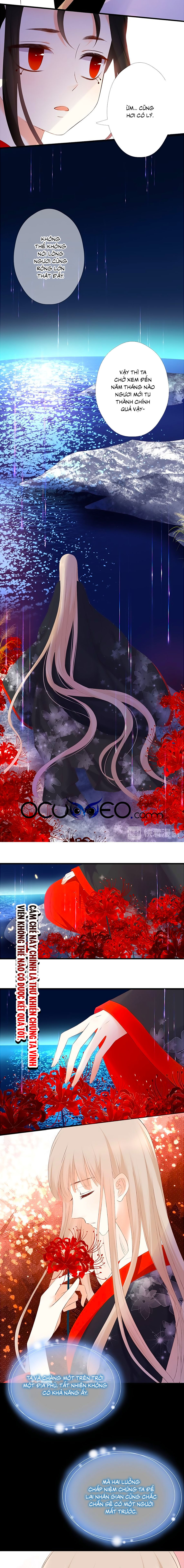 đóa hoa chớm nở chapter 60 8