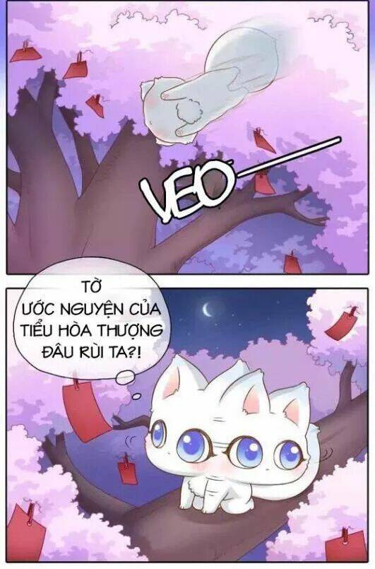 tiểu hồ ly vs tiểu hóa thượng chapter 35 9