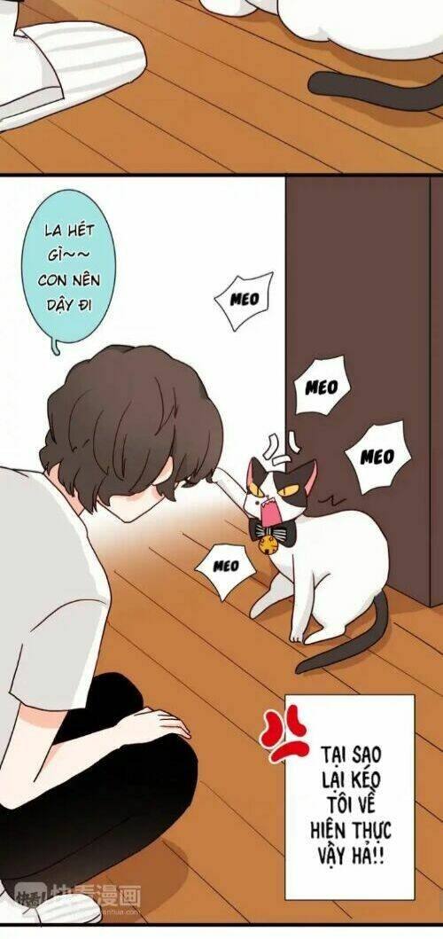 gấu nhỏ dư và thỏ thỏ hứa chapter 13 37