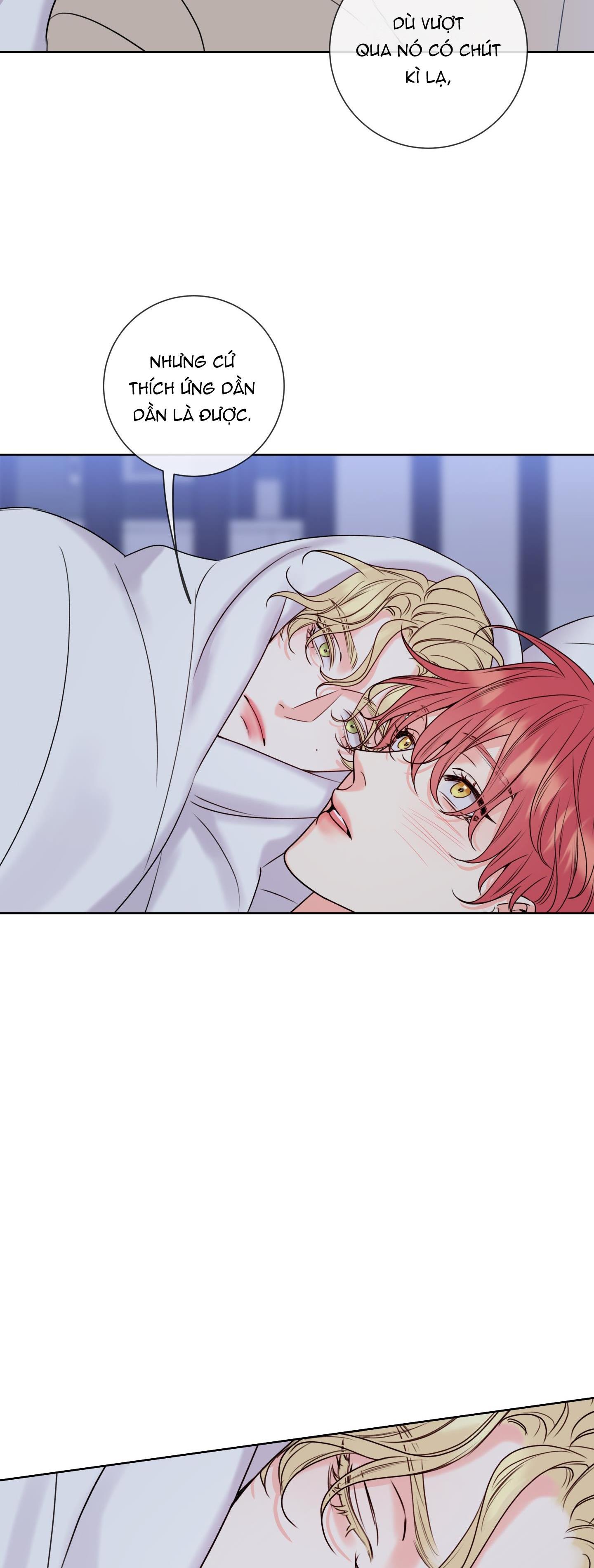 mật ong nhà làm chapter 8 26