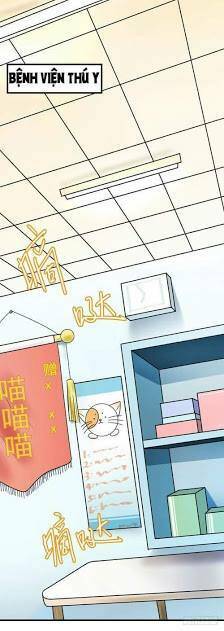 chinh phục bạn trai sao chổi chapter 2 21