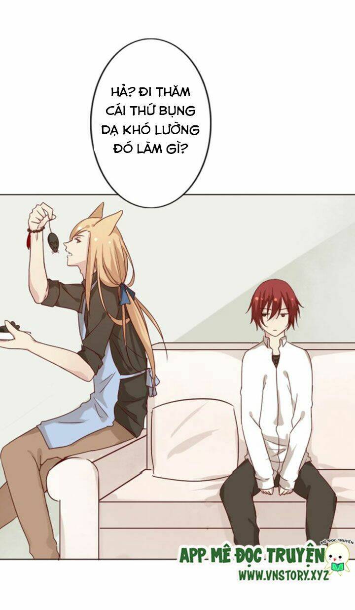 hồ tiên này không tin được chapter 5 14