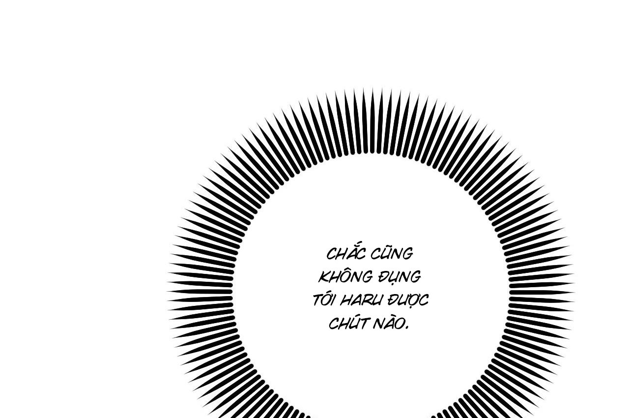 những chú thỏ của hapypy chapter 59 157