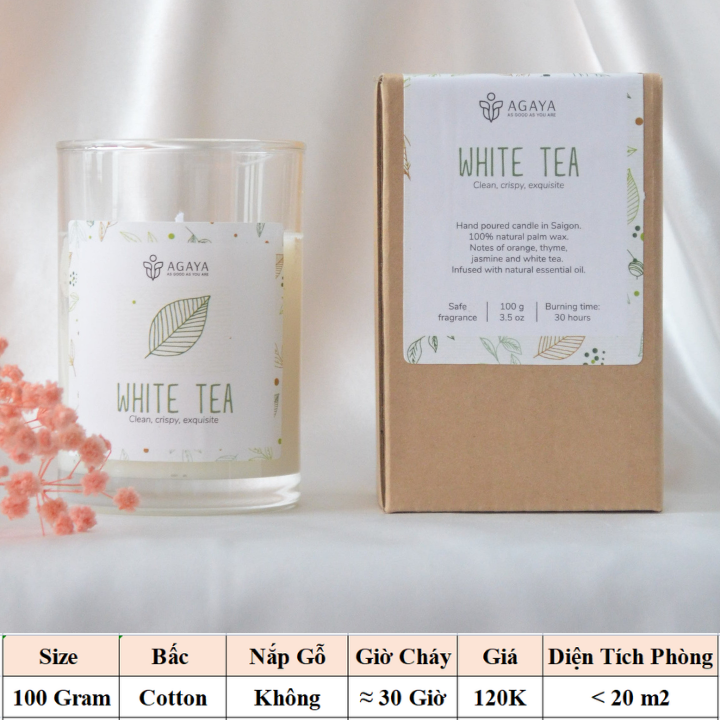 Nến thơm trong lành và thanh mát AGAYA Candle Cup hương cam,xạ hương,hoa nhài,bạch trà - Mùi WHITE TEA