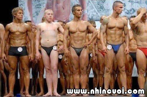 hình ảnh hài hước new chapter 26 19