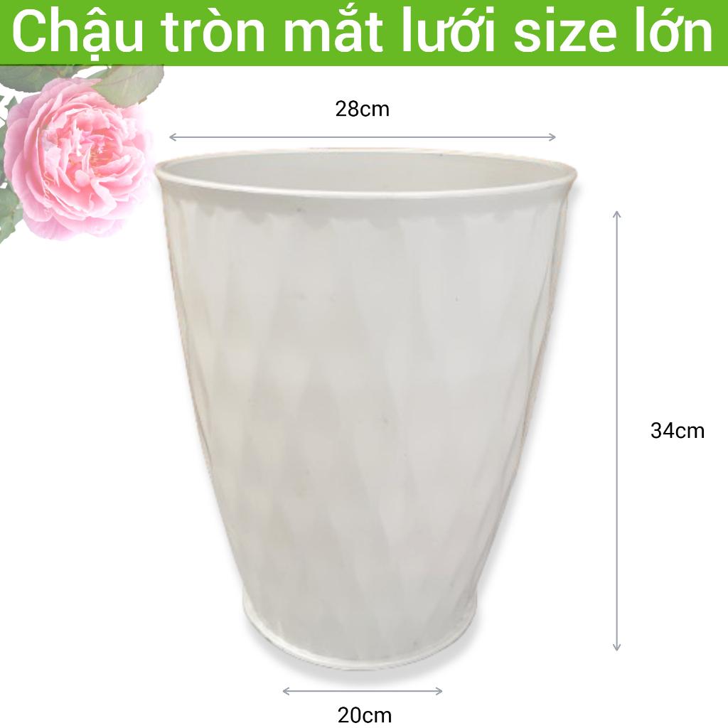 Chậu tròn vân lưới trồng cây cảnh hoa kiểng