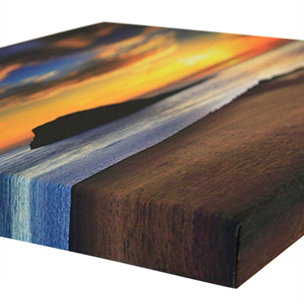 Tranh Canvas - Trang Trí Phòng Khách, Phòng Ngủ, Phòng Làm Việc Tặng Kèm Đinh Treo Tranh Chuyên Dụng - Khung Hình Phạm Gia PG17