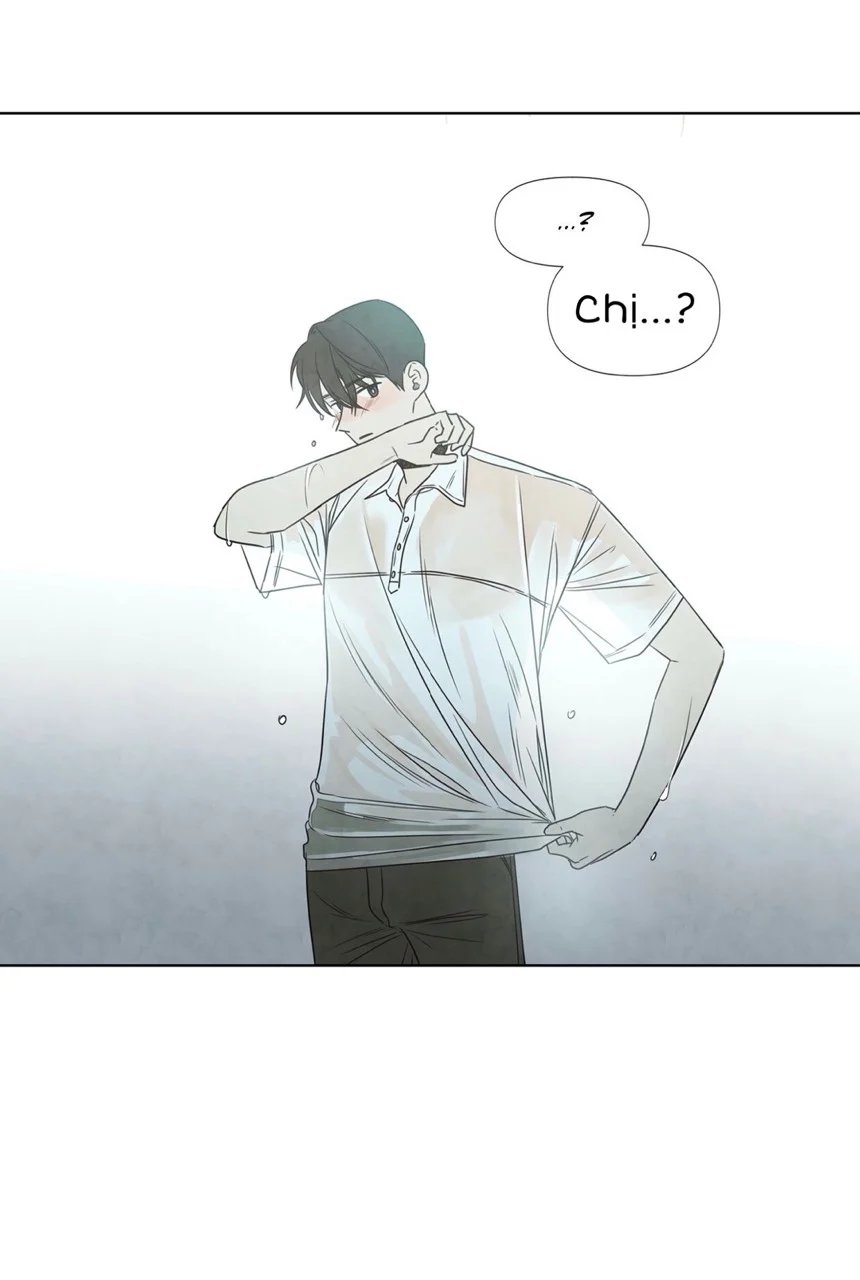 summer solstice point chapter 4 32