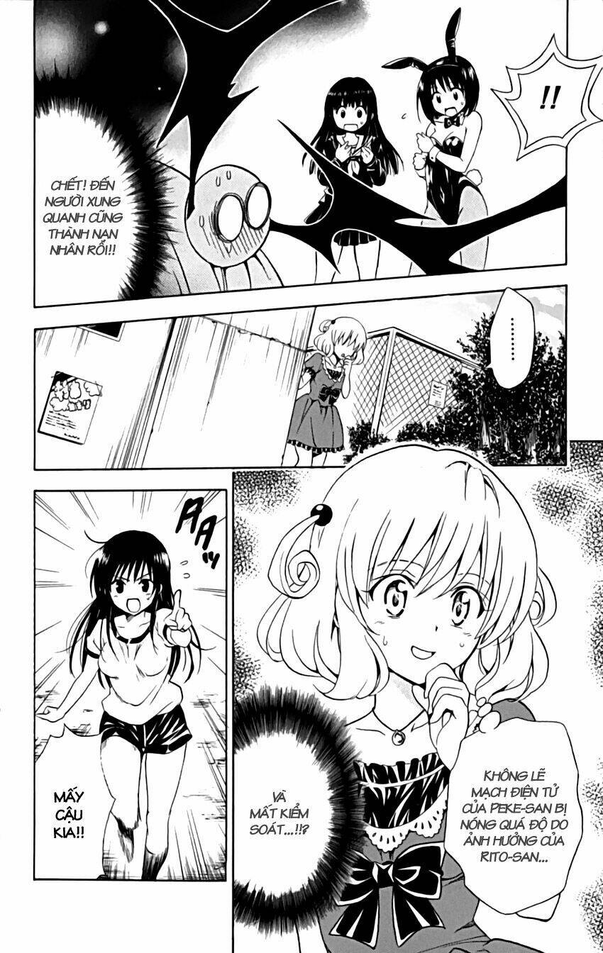 bọn tớ thích cậu! rito chapter 153 24