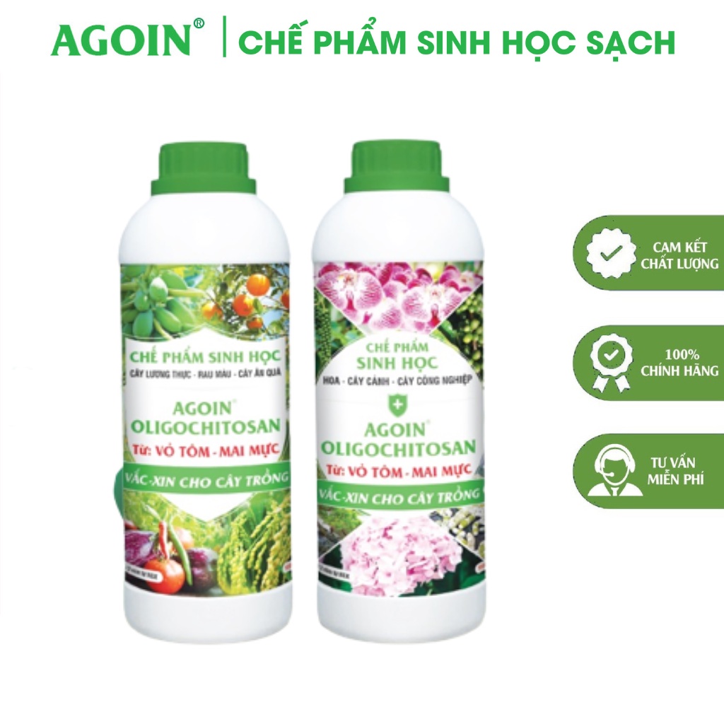 Chế Phẩm Sinh Học Oligo Chitosan Vắc-Xin Cho Cây Công Nghiệp - Hoa - Cây Cảnh Kích Thích Và Làm Tăng Khả Năng Miễn Dịch