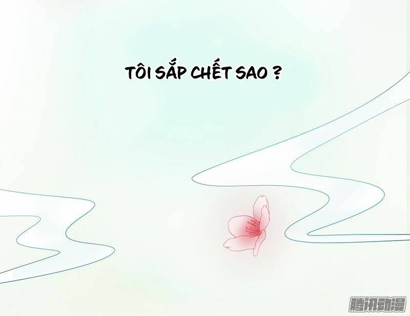 tình nhân kiếp trước là vĩ hồ chapter 1 25