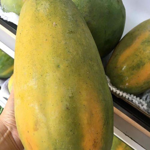 HẠT GIỐNG ĐU ĐỦ RUỘT VÀNG