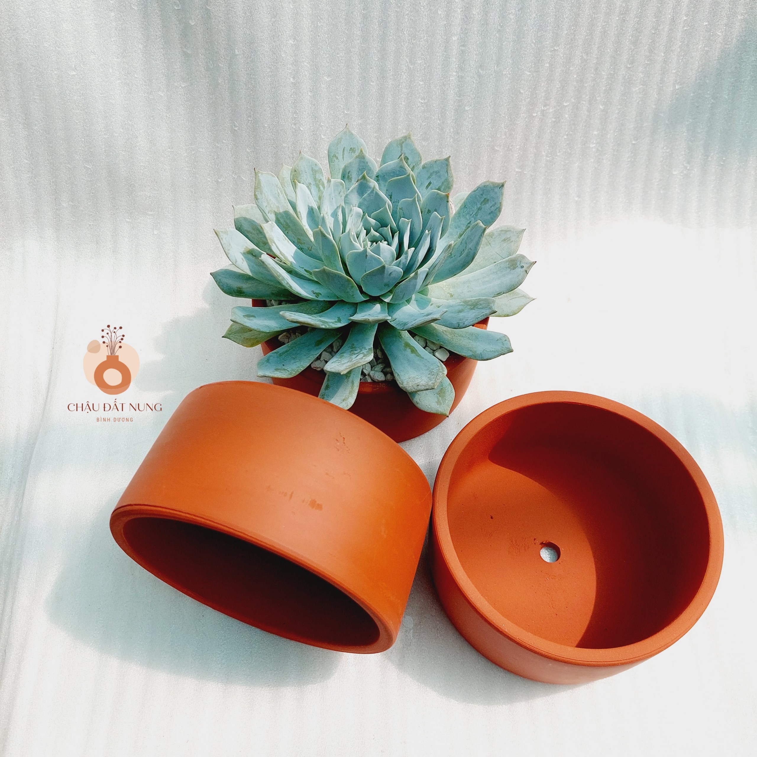 Chậu đất nung Bình Dương - Trụ 147, miệng chậu 14cm, chiều cao 7cm