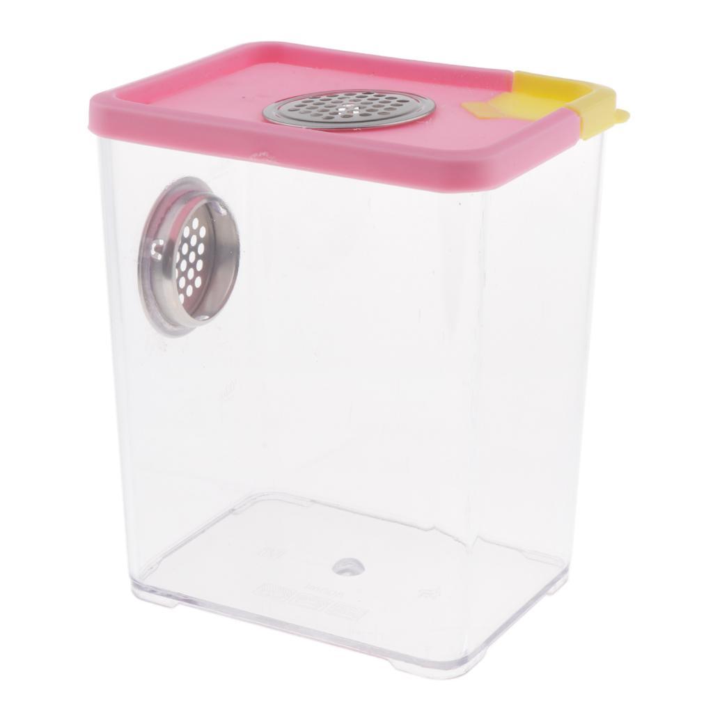 Plastic Transparent Reptile Pet Spider Scorpion Feeding Breeding Box Case