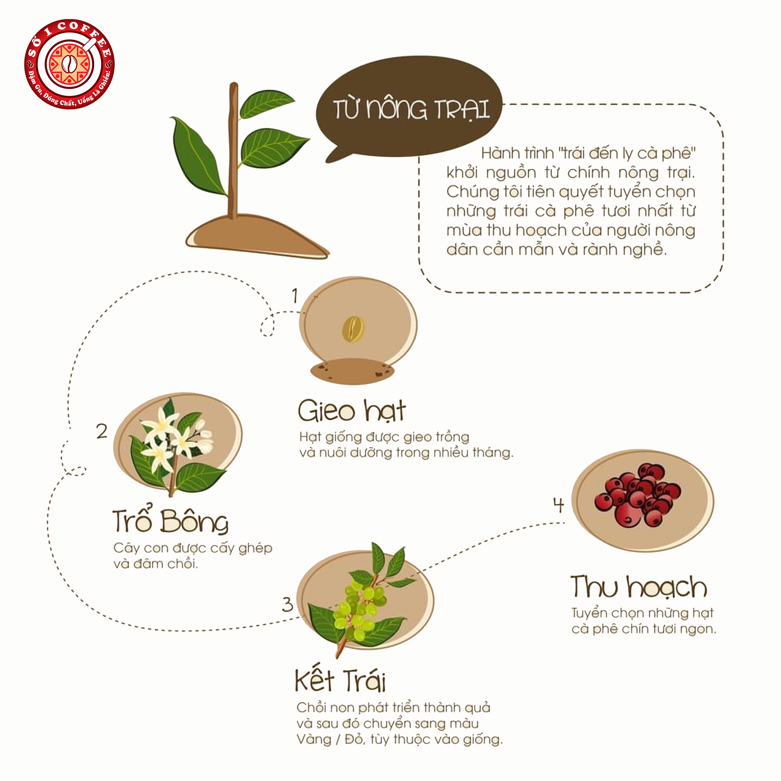 Cà Phê Nguyên Chất ESPRESSO Pha Máy Từ Những Hạt Cà Phê Ngon Thượng Hạng, Sạch 100% Vị Thanh Tao, Tinh Tế, Đạt Tiêu Chuẩn Xuất Khẩu - Túi 500gam