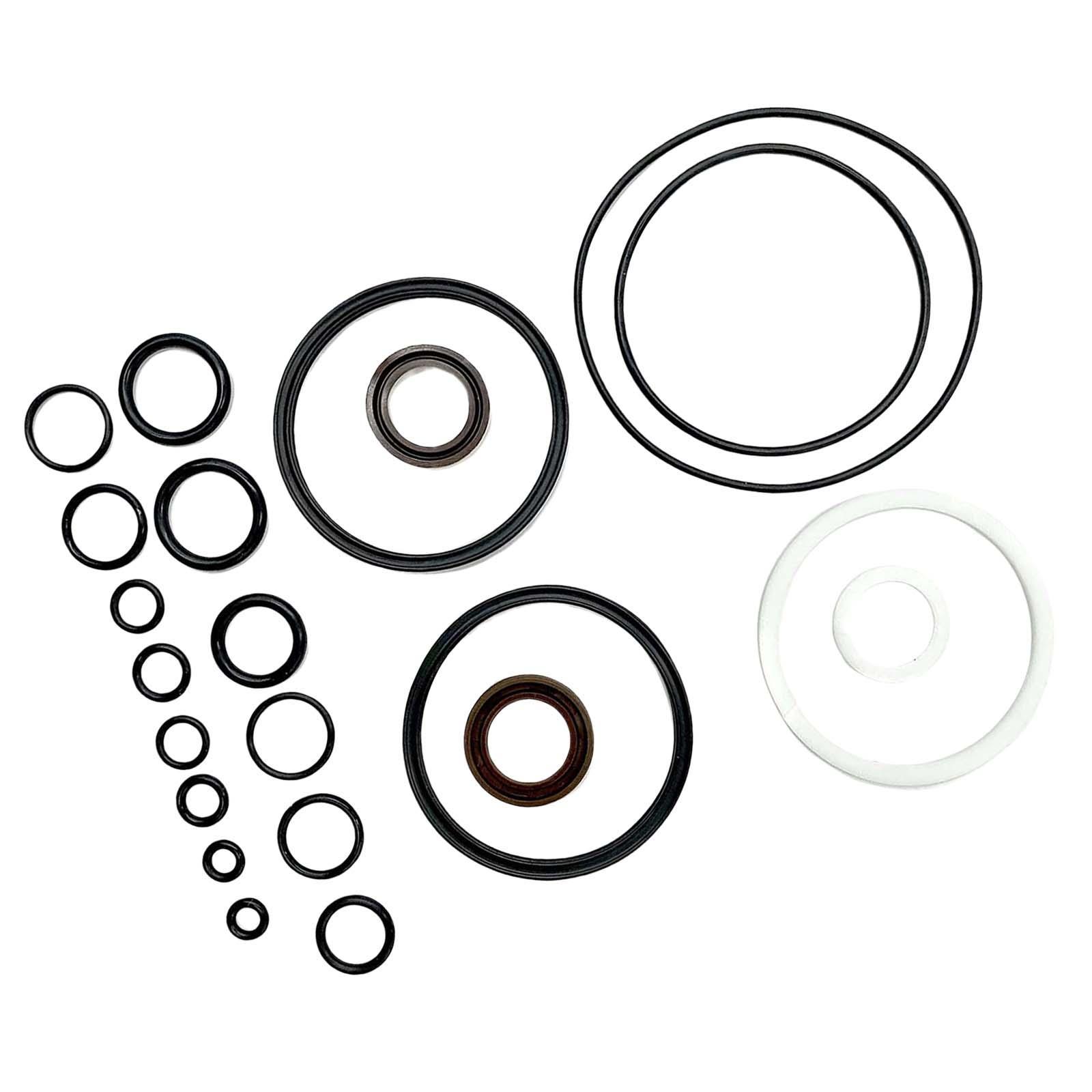 Rebuild Repair Kit High Performance for Evinrude Single RAM