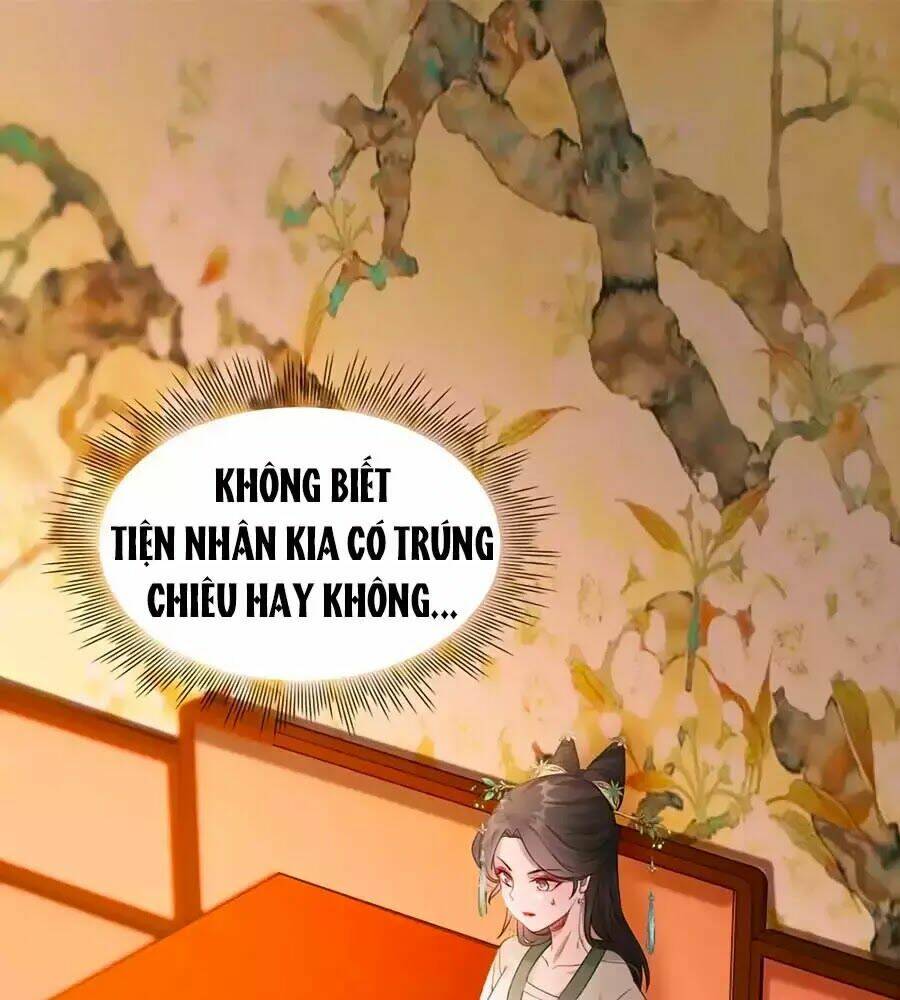 gian phi như thử đa kiều chapter 49 1