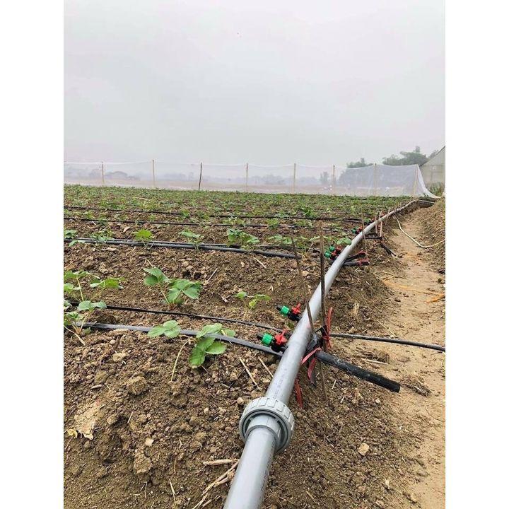 Dây nhỏ giọt dày 0.15mm khoảng cách 20cm