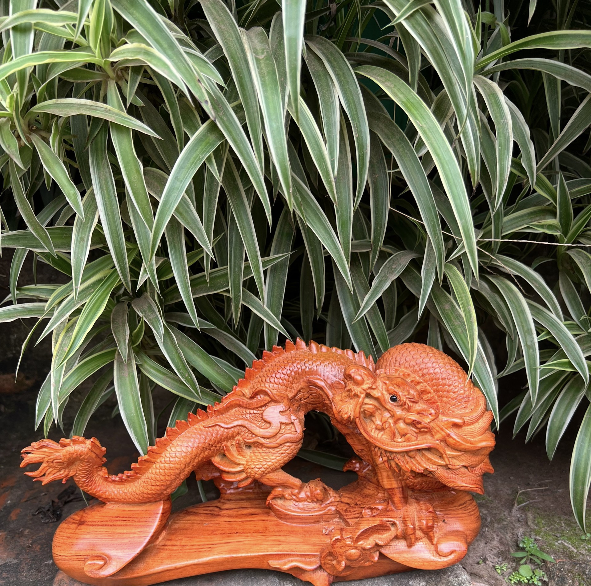 Tượng con rồng phong thủy bằng gỗ hương đá kt 30×16×12cm