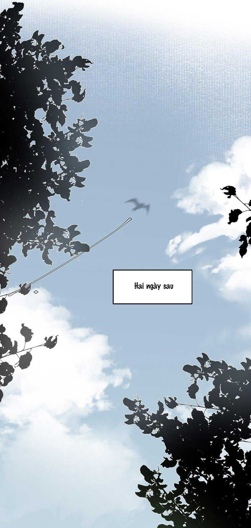 tình cũ là vua chapter 22 18