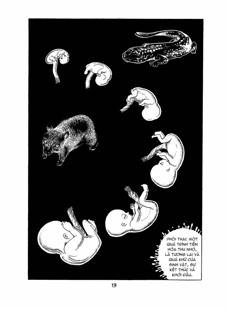 apollo’s song chapter 0 12