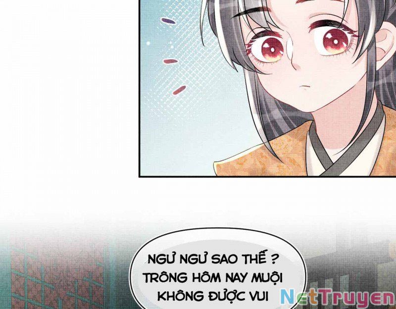 nhóc con người cá 3 tuổi rồi chapter 232 7