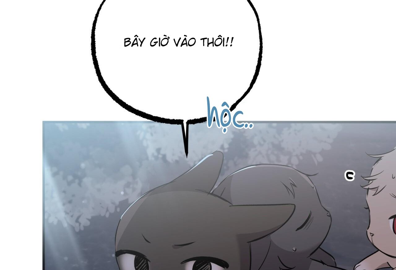 những chú thỏ của hapypy chapter 61 221