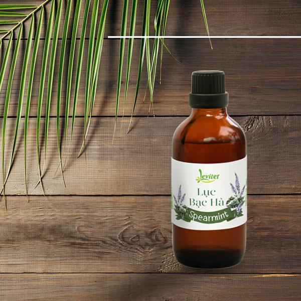 Tinh Dầu Lục Bạc Hà Leviter 100ml