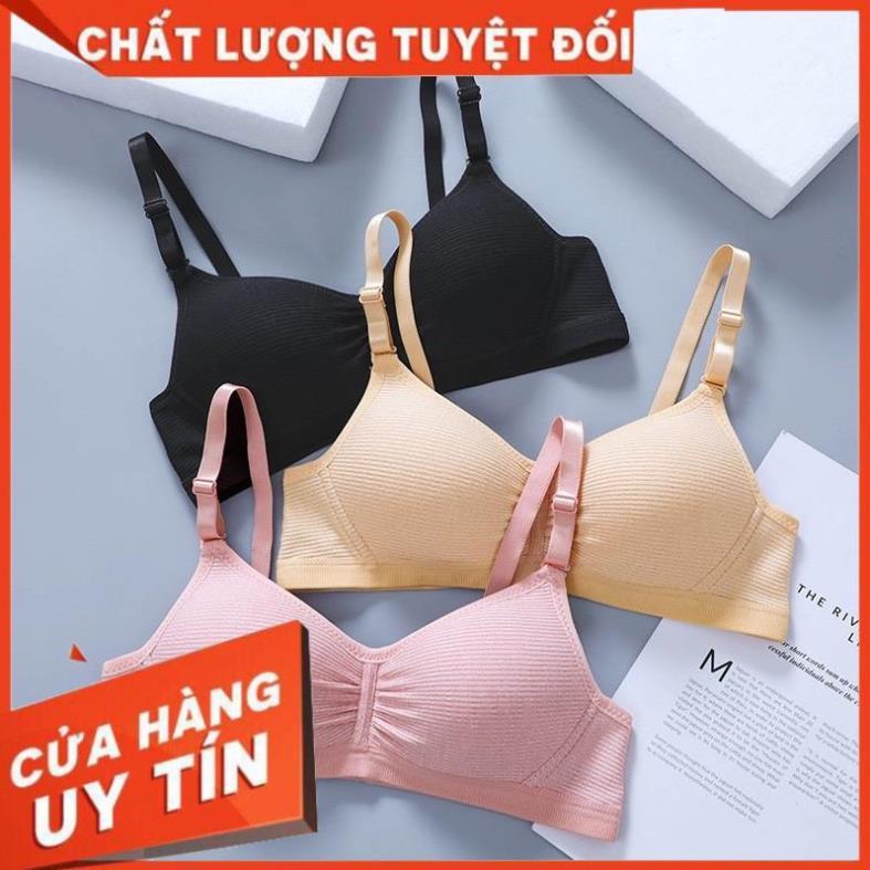 Áo Lót Nữ Cotton Cao Cấp Không Gọng Mỏng Nâng Ngực 136