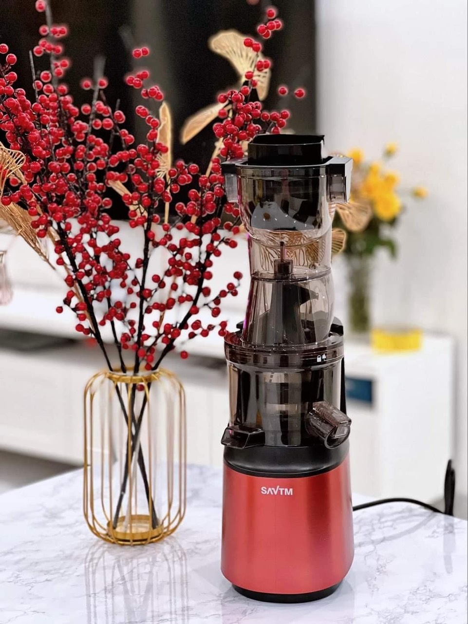 Máy Ép Hoa Quả Rau Củ Tốc Độ Chậm SAVTM JE-35 cỡ lớn ép cả quả giữ nguyên chất dinh dưỡng