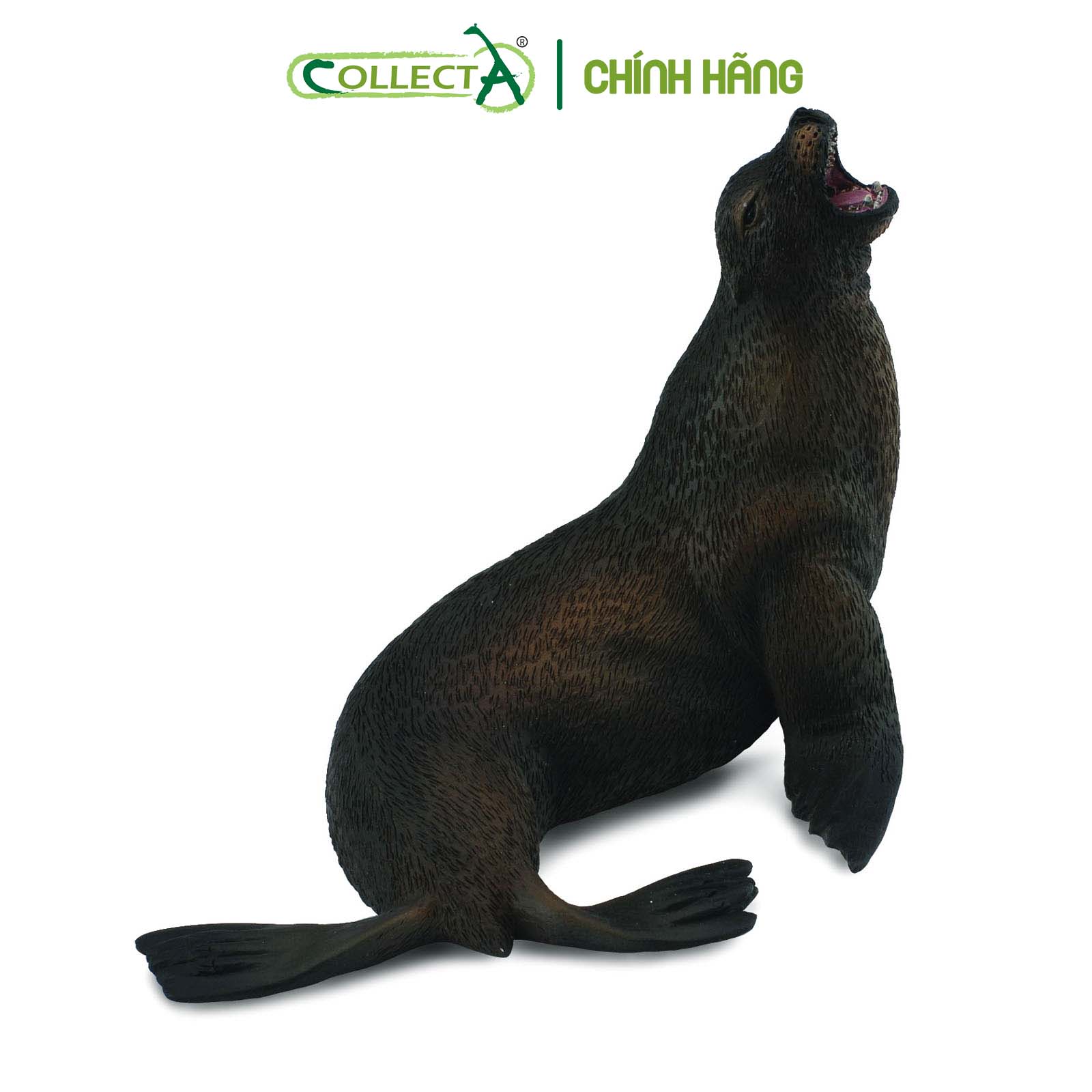 Mô hình thu nhỏ: Sư Tử Biển - Sea Lion, hiệu: CollectA, mã HS 9652070[88454] -  Chất liệu an toàn cho trẻ - Hàng chính hãng