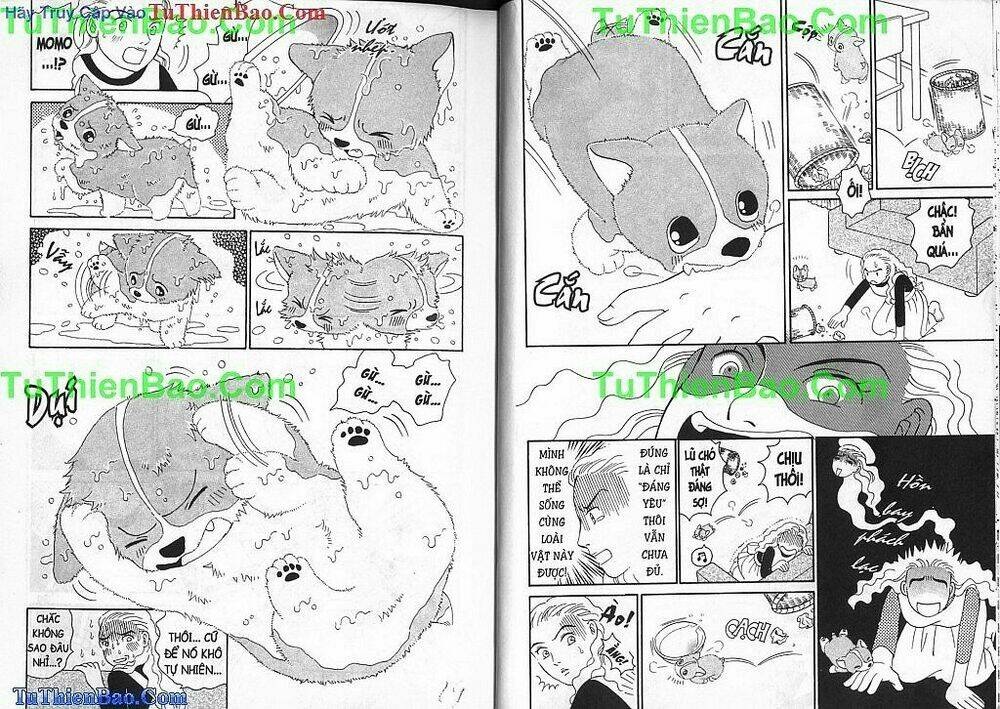 chó con mo mo chapter 1 15