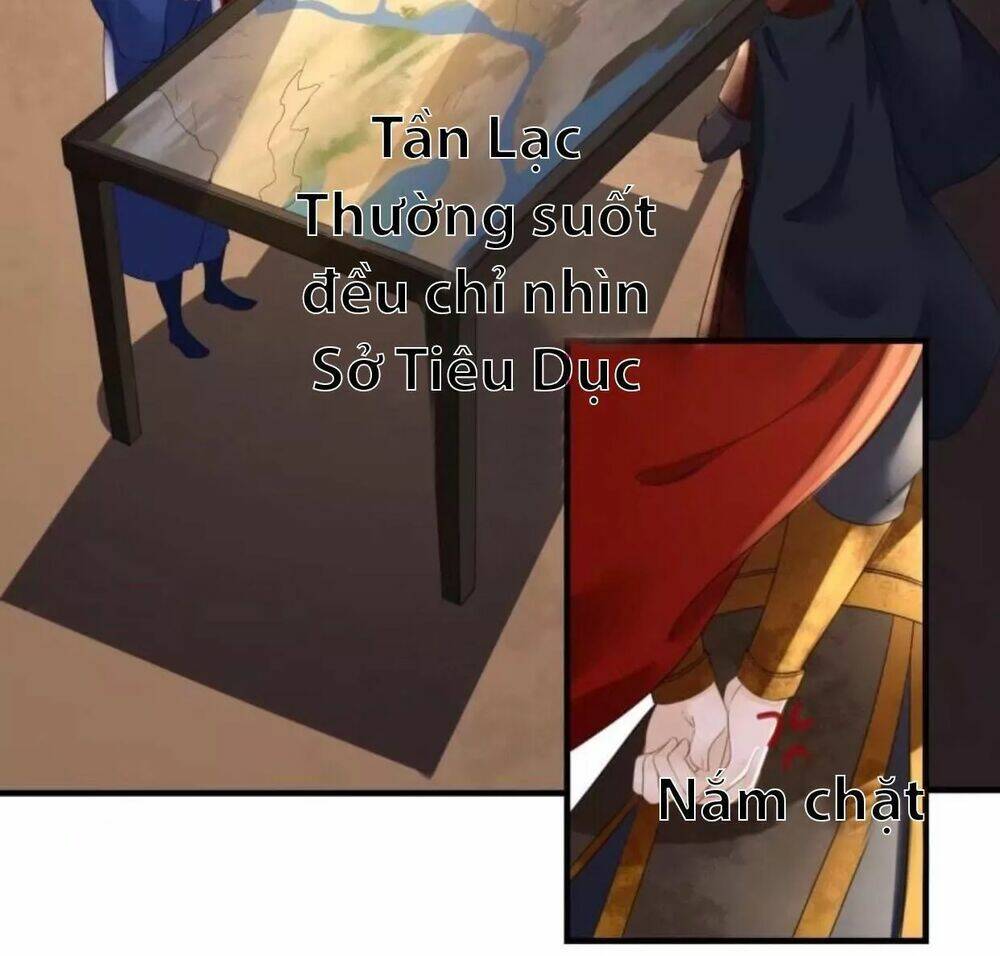 sủng phi của vương chapter 95 17