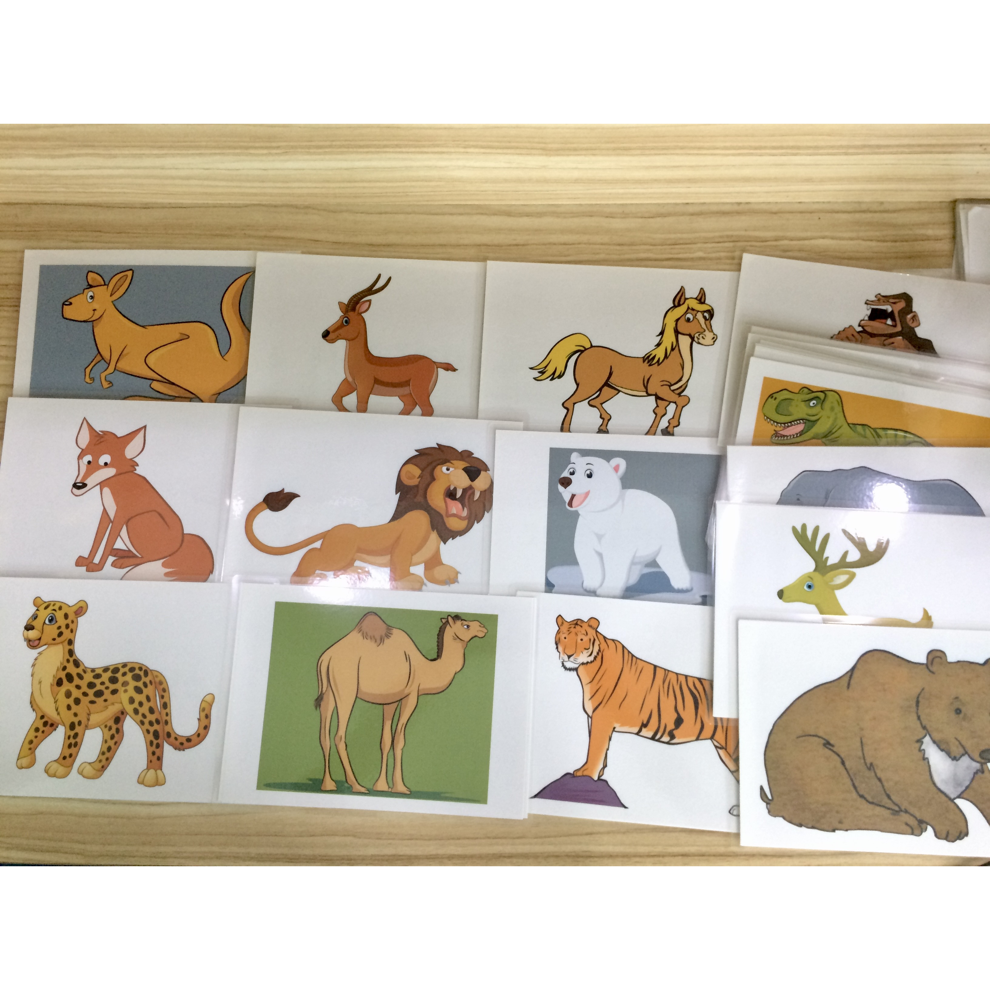 Animal Flashcards - Wild Animals - Thẻ học tiếng Anh chủ đề động vật hoang dã - 20 cards