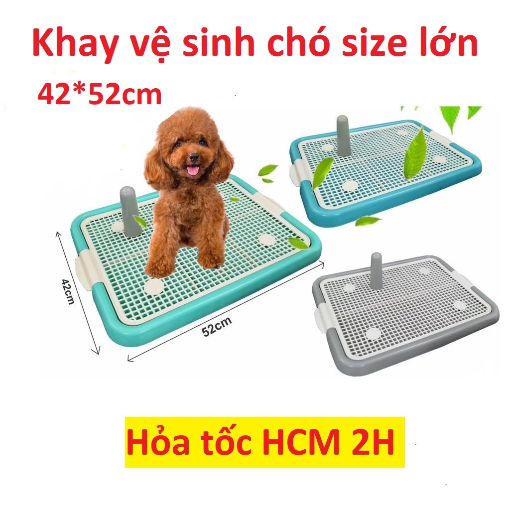 [MẪU MỚI VỀ] Khay vệ sinh Cho Chó Size Lớn 42x52cm Kèm Trụ (Chó Dưới 10kg)