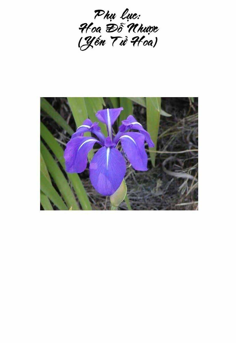 hanzou no mon chapter 16 47