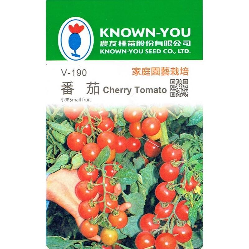 Hath giống cà chua mini chuỗi ngọc F1