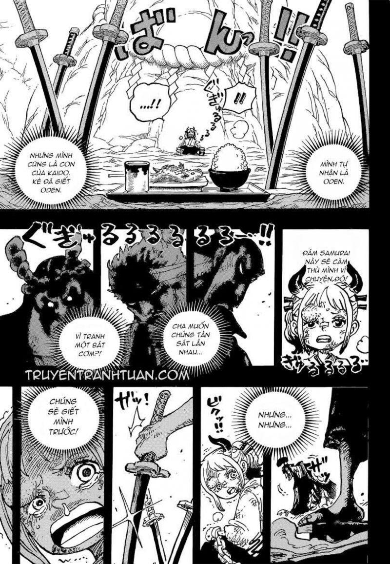 đảo hải tặc - one piece chapter 1024 13