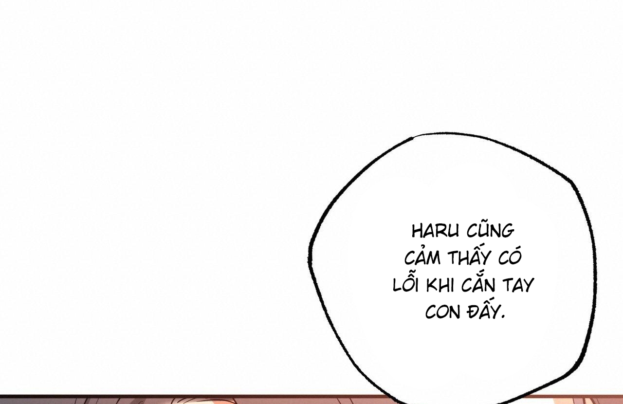 đàn thỏ của habibi chapter 65 61