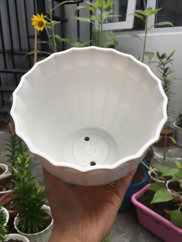 Chậu nhựa tròn bầu giả mây đan 17cm
