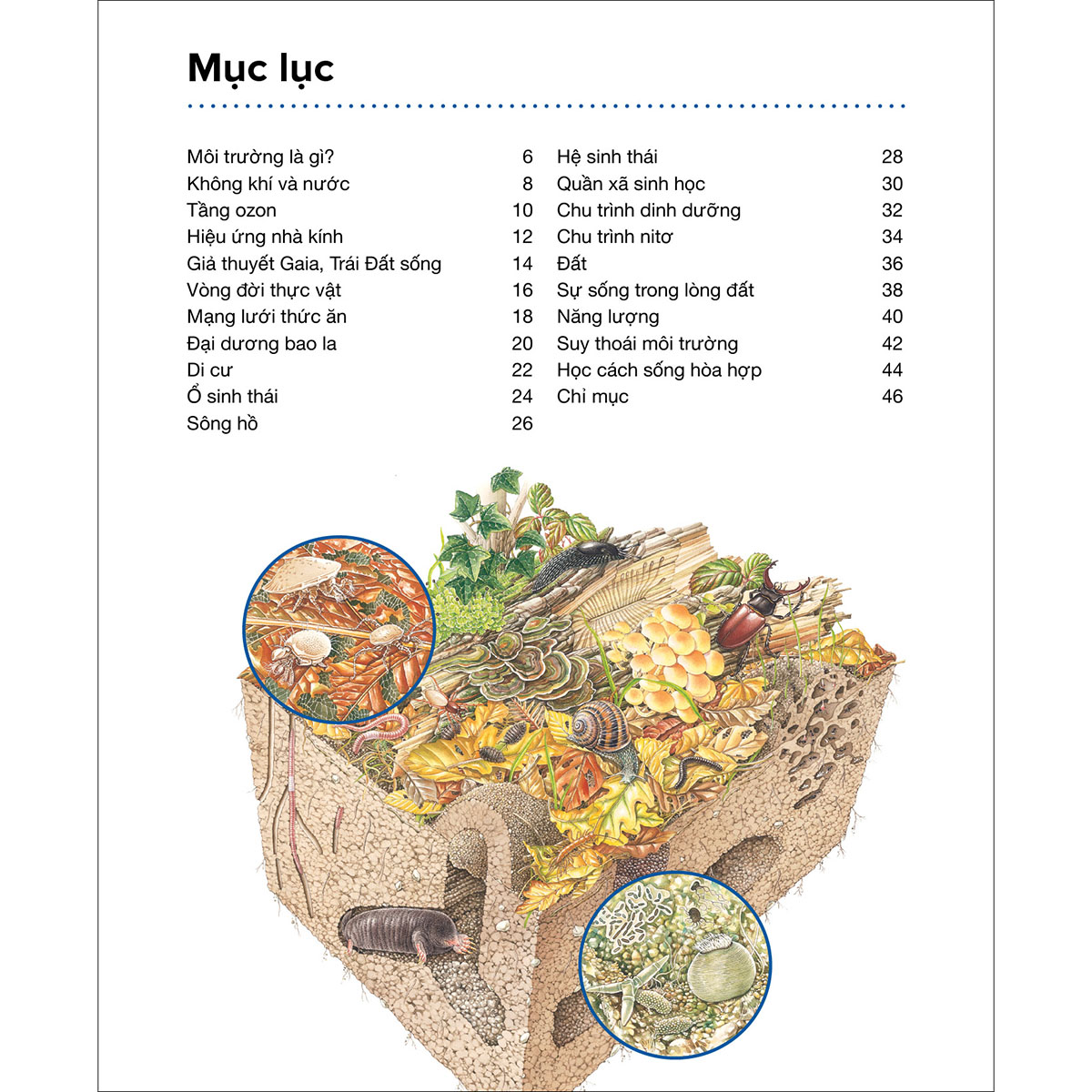 Môi Trường - Hành Trình Khám Phá